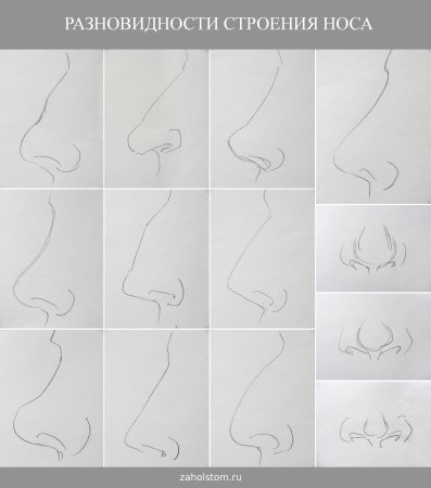 Легкий нос карандашом для начинающих