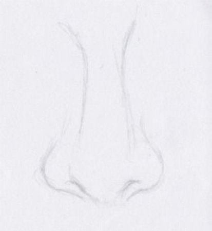 Схема рисования носа