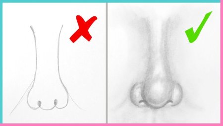 Нос рисунок