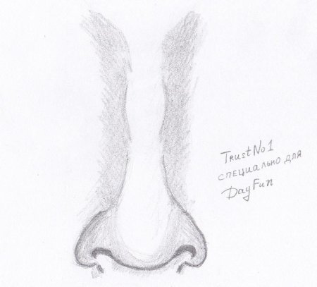 Рисование носа в разных ракурсах