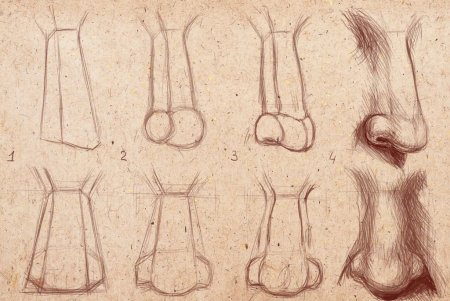 Как правильно рисовать нос человека карандашом