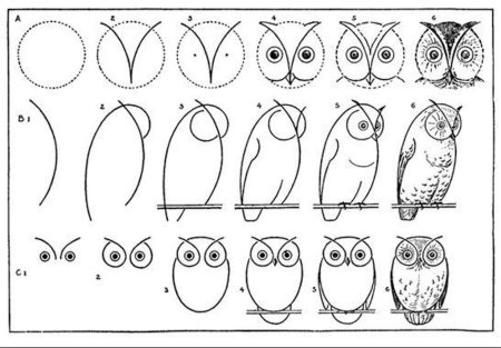 Как нарисовать сову карандашом поэтапно