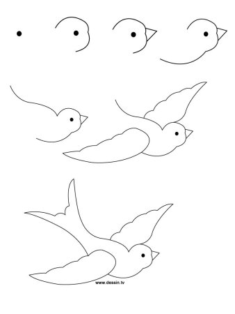 Рисование птиц