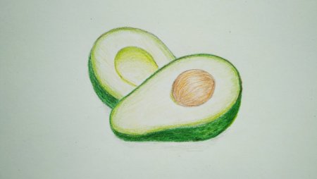 Авокадо для срисовки лёгкий