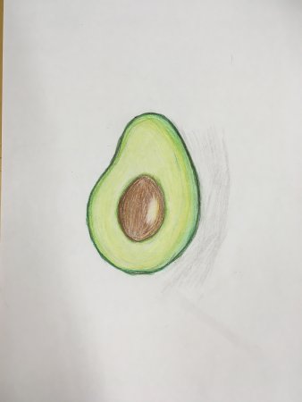 Рисунки карандашом для начинающих легкие и красивые