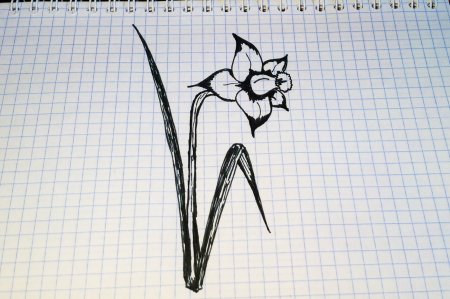 Рисунок ручкой для начинающих