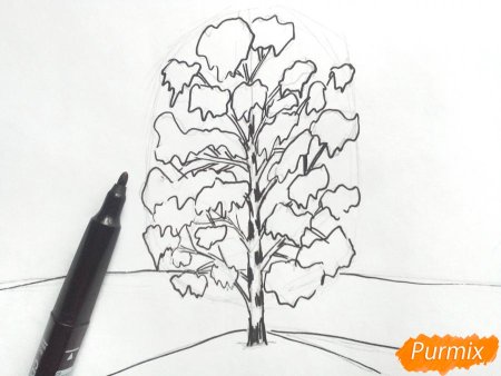 Рисование березы
