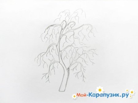 Дерево как рисовать поэтапно берёза