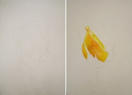Рисование медовой акварелью