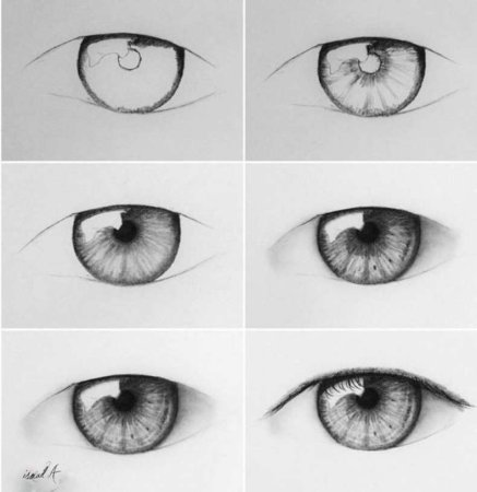 Глаза карандашом для срисовки для начинающих