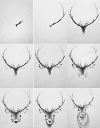 Оригинальные зарисовки