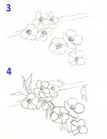 Рисунки весны карандашом для начинающих