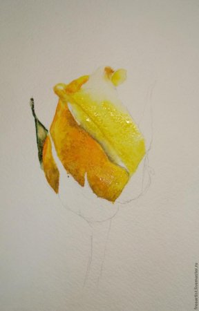 Рисование акварельными красками