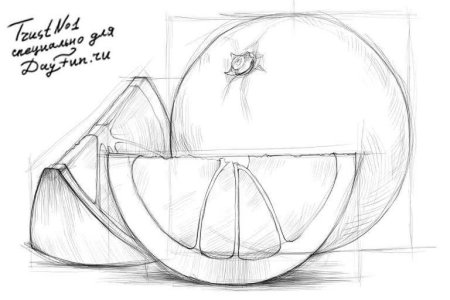 Фрукты для срисовки карандашом