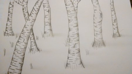 Зимний пейзаж карандашом