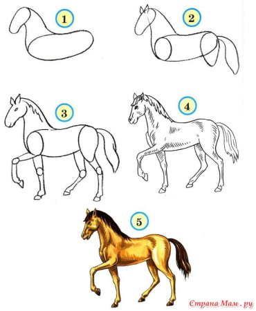 Как научиться рисовать лошадей поэтапно