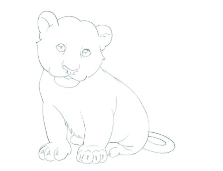 Тигренок рисунок карандашом