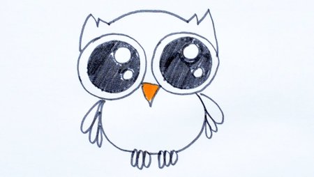 Рисунок Совы легкий