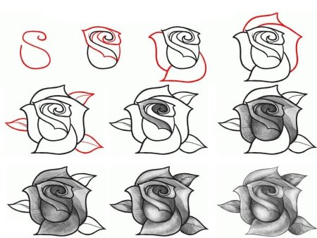 Поэтапное рисование мишки