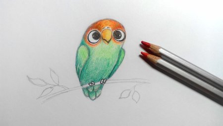 Рисунки цветными карандашами