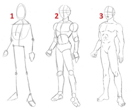 Тело человека для рисования