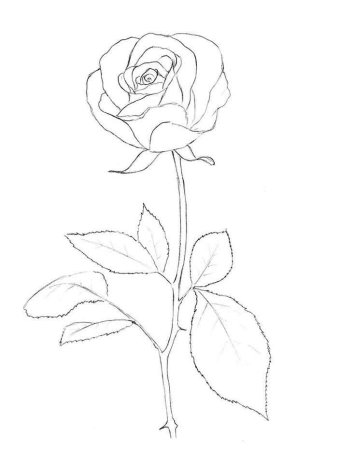 Тату рисунки для начинающих