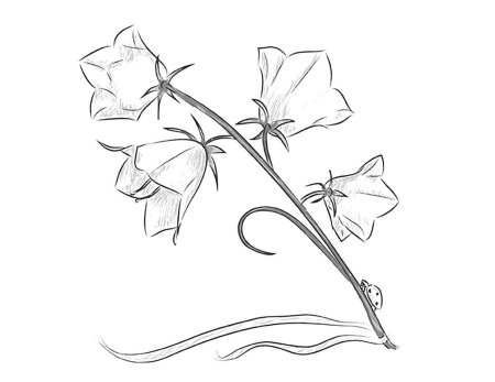 Рисуем розу поэтапно