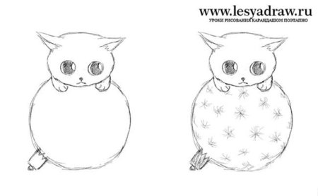 Рисунок карандашом для срисовки на новый год котик