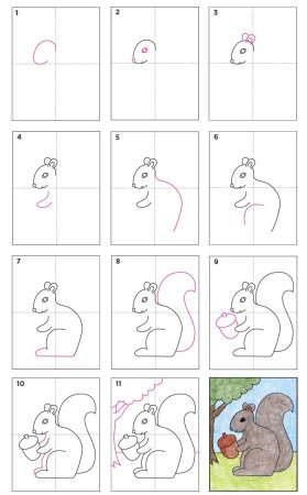 Белка поэтапное рисование