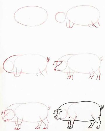 Рисунки животных карандашом для начинающих