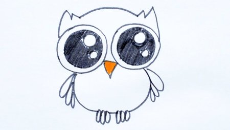 Сова рисунок для срисовки
