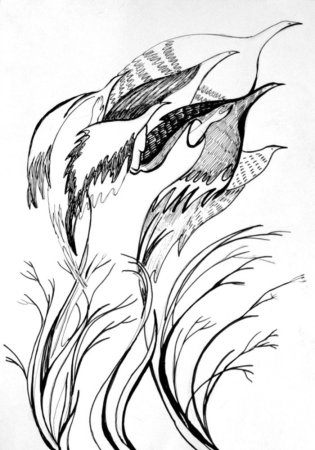 Перо рисунок