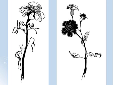 Цветы тушью и пером