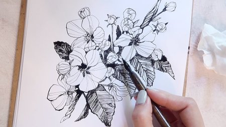 Рисование тушью и пером для начинающих