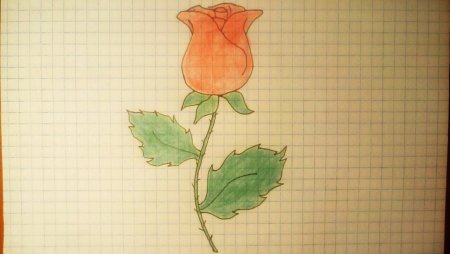 Легкие рисунки