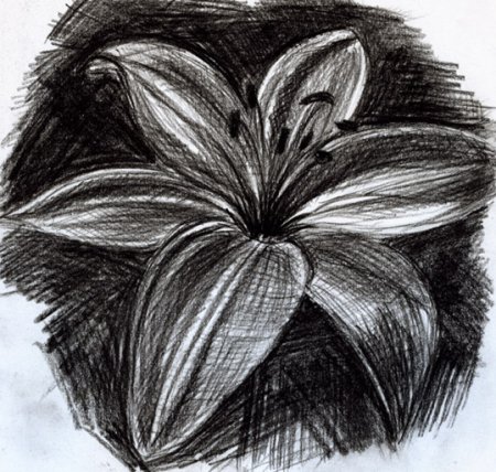 Рисунок углем легкий