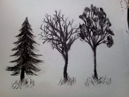 Рисунок углем для детей