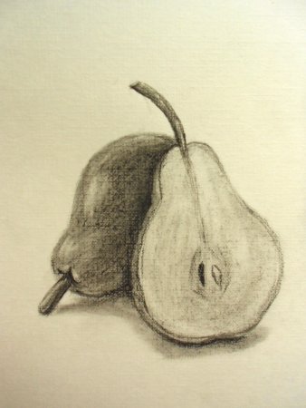 Рисование угольным карандашом для начинающих