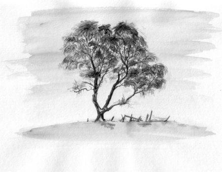 Пейзаж с деревьями карандашом