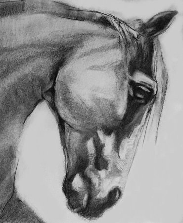 Рисунки углём лёгкие