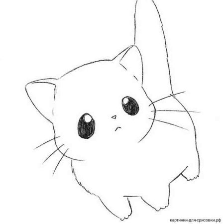 Маленькие рисунки для срисовки животных