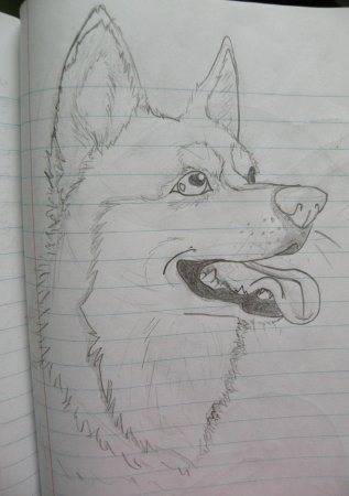 Рисунки карандашом в тетради