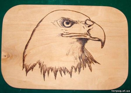 Фёдор Абрамов выжигатель портрет