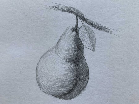 Груша карандашом