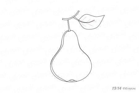 Натюрморт с фруктами карандашом