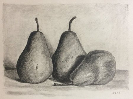 Груша рисунок карандашом