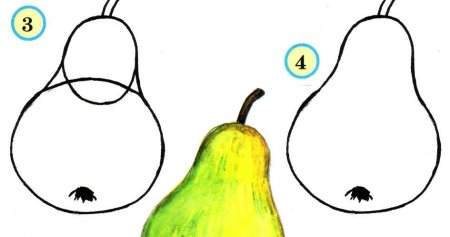 Натюрморт с яблоком и грушей в цвете.