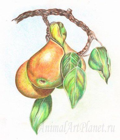 Легкие рисунки очень яркие