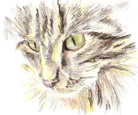 Рисунки восковыми мелками