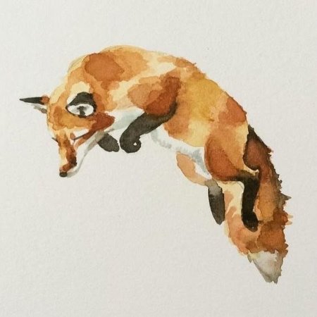 Животные акварелью для начинающих